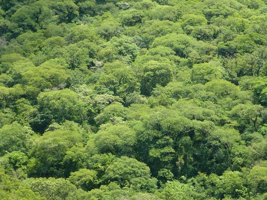 feinster nebelwald auf dem weg nach tucuman, gleichzeitig steigt die temperatur mit jeder kurve.
