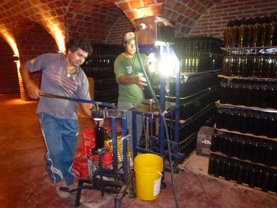 da tut zur abwechslung mal fluessigkeitskauf fuer den koerper ganz gut, bodega alto esperanza in tinogasta mit dem schnellsten bodegabesuch der geschichte.