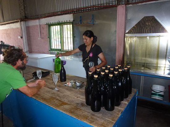 da erfrischt ein champagne artesanal bei miguel mas, herrlich zum ersten mal konnten wir bewundern, wie der satz mit einfrierung aus der flasche mit einer kleinen explosion entfernt wird. (testfeld hinten rechts)