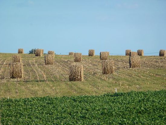 sauber, gepflegt, sicher aber teuer, uruguay ist ein gutes angewoehnungsland fuer zuhause.