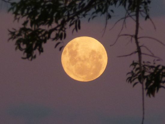 der mond heisst uns in carmelo wilkommen.