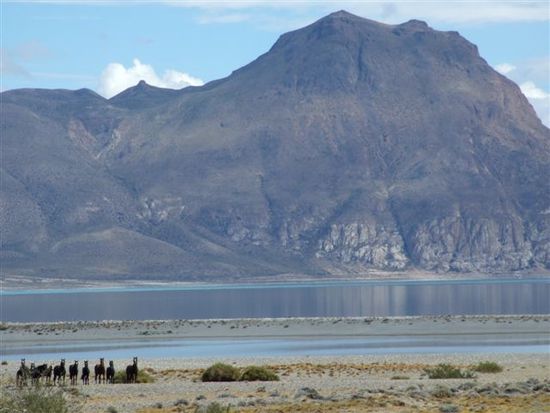 lago ghio richtung chile