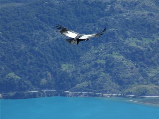 der berg wird dem namen gerecht, besuch vom condor