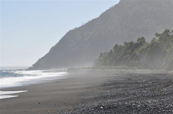 the beach von st. barbara gefolgt vom dichten dschungen nat. park pumalin / foto nico bastens