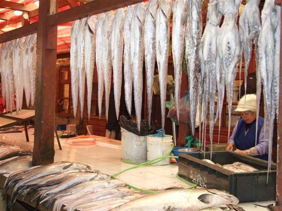 endlich im fisch-paradies angekommen - fischmarkt angelmo puerto montt