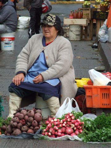 wo ist das grösste radieschen...gemüsemarkt angelmo.