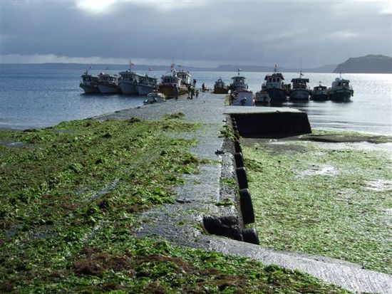 muelle de achao.