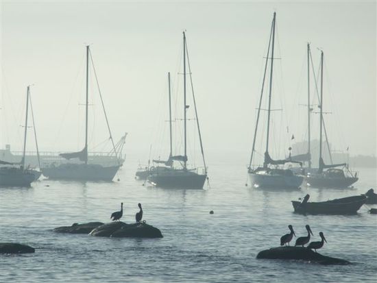 spezielle morgenstimmung am meer