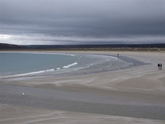 playa tongoy