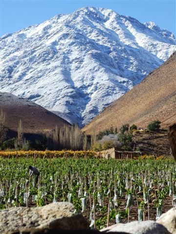 valle del elqui - vulkane, sand und oasen.