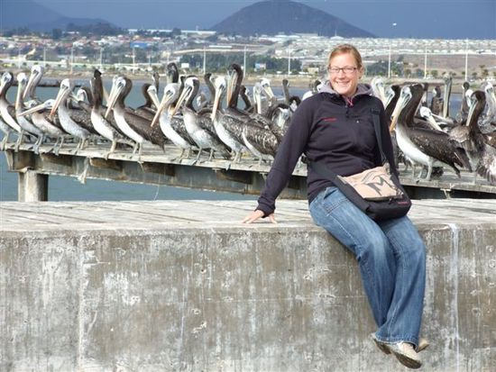 die pelikancrew in coquimbo