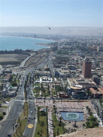blick auf arica vom morro - eine oase in der wüste.