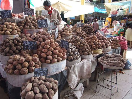 mercado central arequipa - es gibt 400 verschiedene kartoffeln.