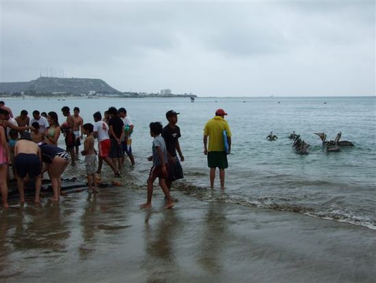 das netz wird eingeholt und alle stürmen zum playa und die fische einzusammeln.