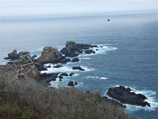 die raue isla de la plata und seine bewohner.