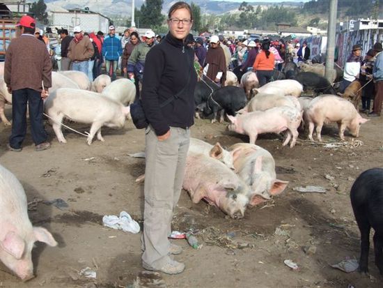 die schweine sind nicht alle im weltall, anke fühlt sich hier trotzdem nicht so wohl.