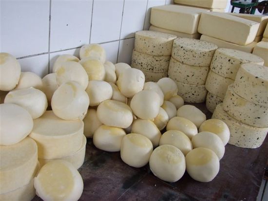 bergkäse, mozzarella, kräuterkäse, emmentaler, tilsiter und zur guter letzt noch käsefondue, man fühlt sich wie daheim.