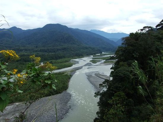 rio negro