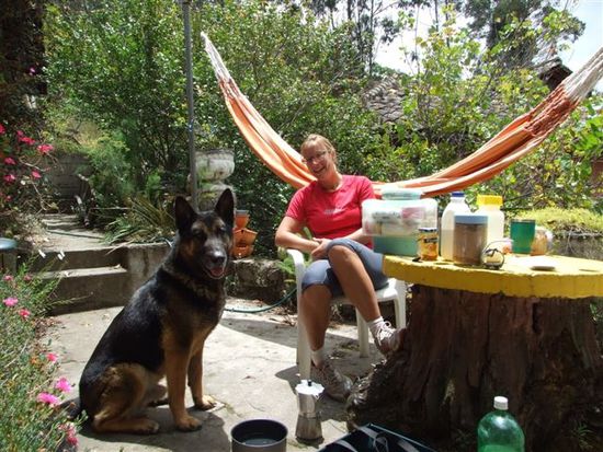 in otavalo gaben wir uns den harten aufgaben des reisens hin - joggen, essen, lesen, essen, putzen, essen und zu guter letzt: hundebetreuung.