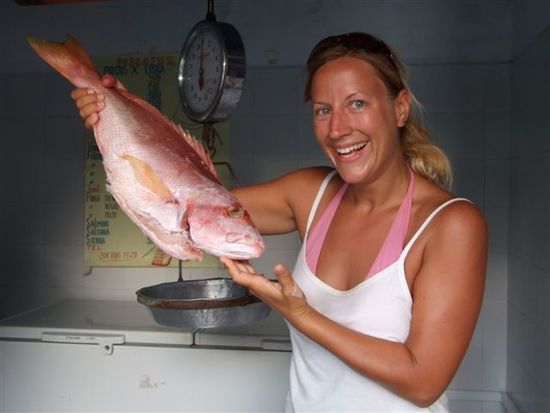 der pargo rojo passt perfekt zum bikini.