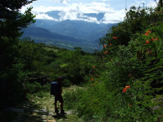 auf dem camino real.