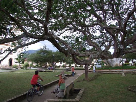 charala - ein herrlich freundliches dorf mit dem grössten baum des tals.