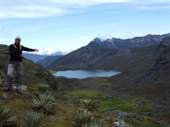 laguna de los verdes und die eigenartigen frailejones.