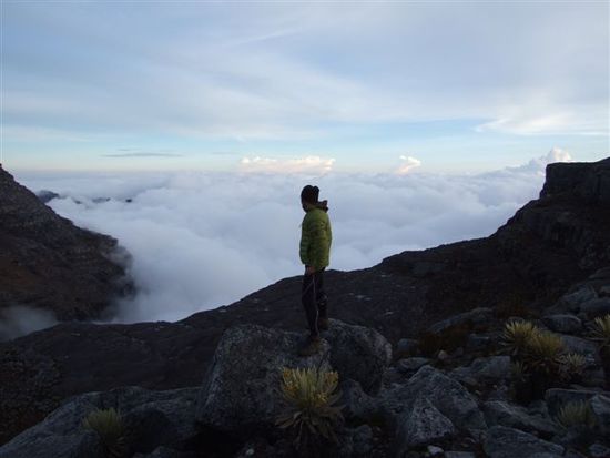 blick hinunter in die los llanos, dem anfang des kolumbianischen amazonasgebiet.
