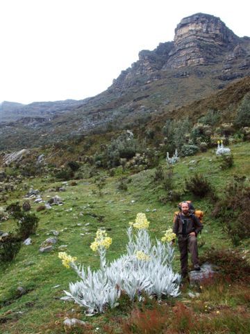 selbst auf 4000 meter wachsen die blumen über don schetty.
