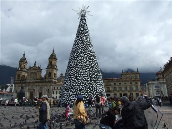 auch hier sind alle schon im weihnachtsfieber - plaza mayor