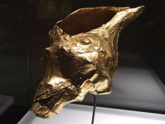 fotosession beginnt - goldmuseum