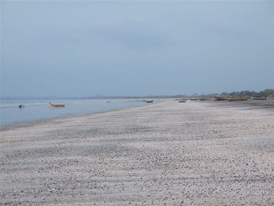 bei strandläufen entdecken wir herrliche muscheln.