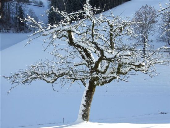 wo wir auch hin kamen, wunderschöne eiskalte winterlandschaft... traumhaft.