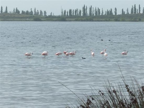 unsere freudigen nachbarn