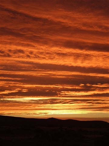 feinstes kino - sunset während der bbq