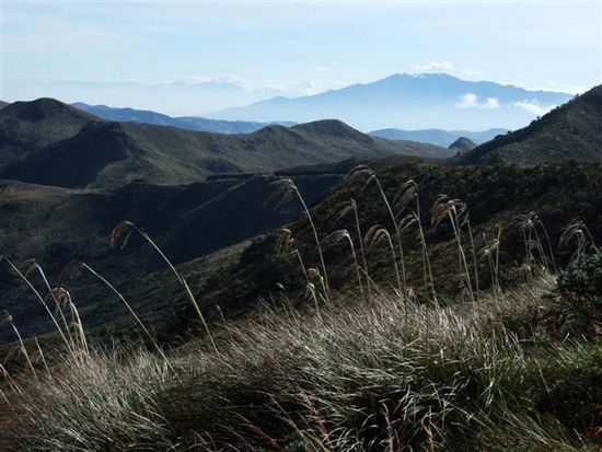 auf dem weg zum vulkan azufral 4100 m.