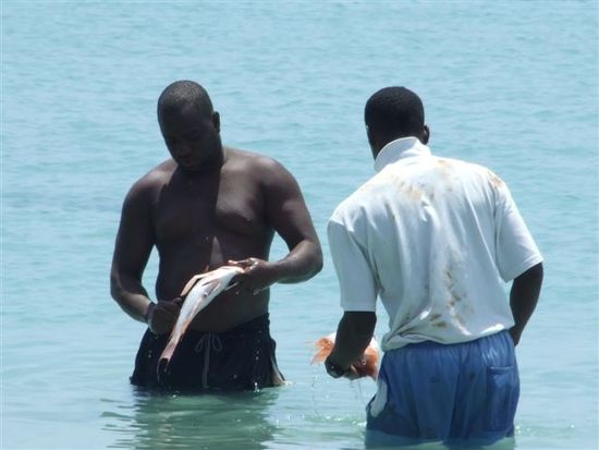 fischreinung wird direkt im wasser vorgenommen.