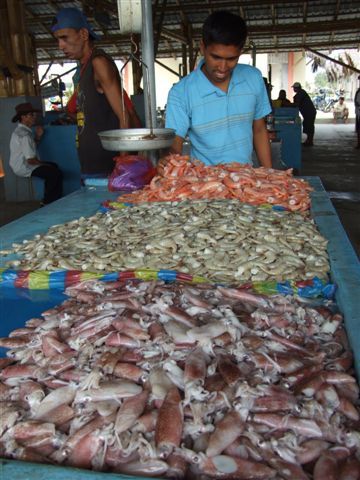 fischmarkt manta.