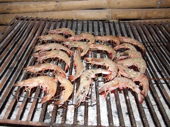selbst der grill ist voll belegt.