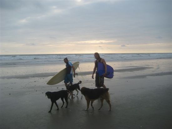 aber es bleibt zeit zum surfen...die dogs sind natürlich dabei.