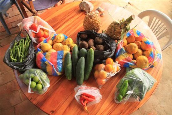 im globus von ecuador; früchte für 14 dollar - so macht einkaufen spass.