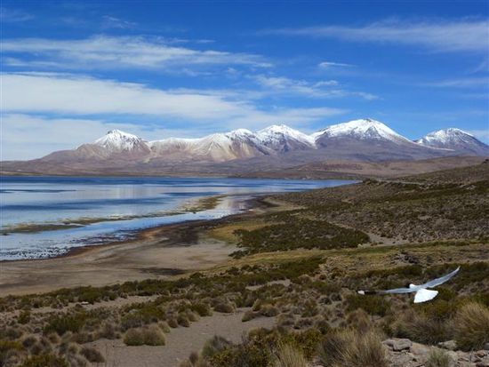 lago chungara 4500.