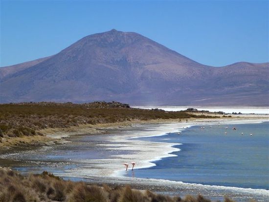 salar de surire