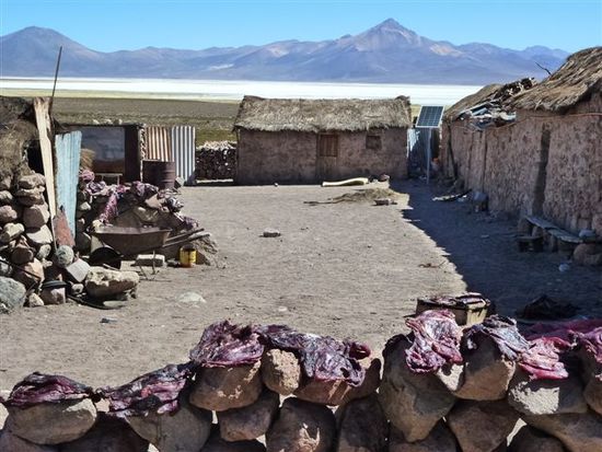 so lebt man im altiplano, aus erde und stroh baut man sein haus und die sonne trocknet das alpaca fleisch zum abendlichen vesper.