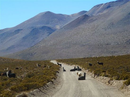strassenblokade im altiplano.
