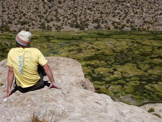 wo ein fluss ist, ist's grün und eine hütte sicher nicht weit. pn isluga
