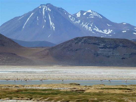 ansonsten lagunen, flamingos und der alles überragende vulkan miscanti 5950 m.