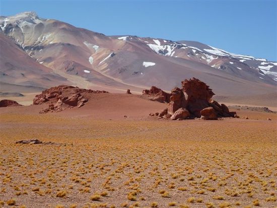 letzte bilder in chile.