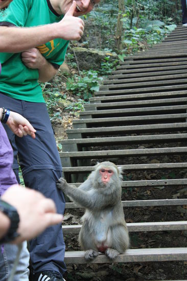 Nur nicht einschüchtern lassen! ( In der rechten Hand hab ich die begehrten Nüsse)
