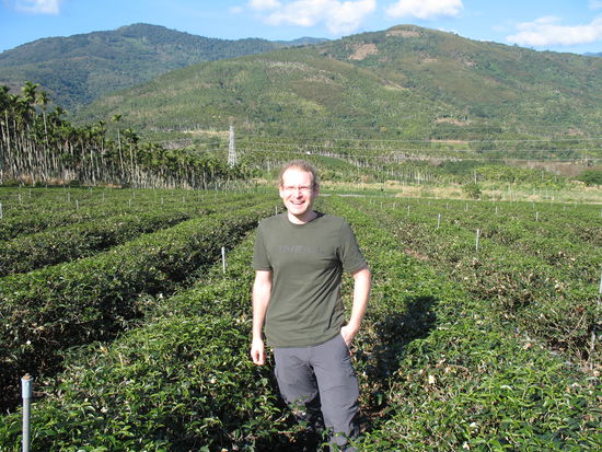 Teetrinker bei der "Arbeit"